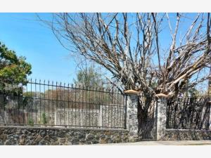 Terreno en venta en Lomas de Jiutepec, Jiutepec, Morelos