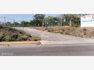 Terreno en venta en Dos Lomas, Veracruz — foto 3 de 6