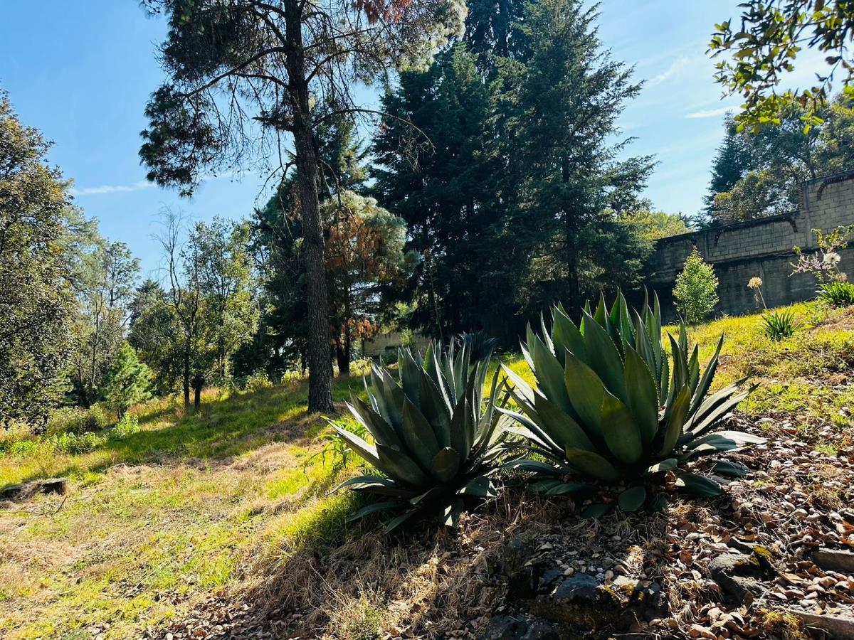 Terreno en venta en Huitzilac, Huitzilac — foto 1 de 3