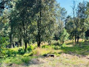 Terreno en venta en Huitzilac, Huitzilac — foto 2 de 3
