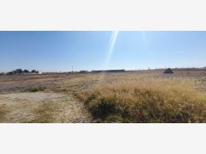Terreno en venta en San Rafael Comac, San Andrés Cholula — foto 2 de 9