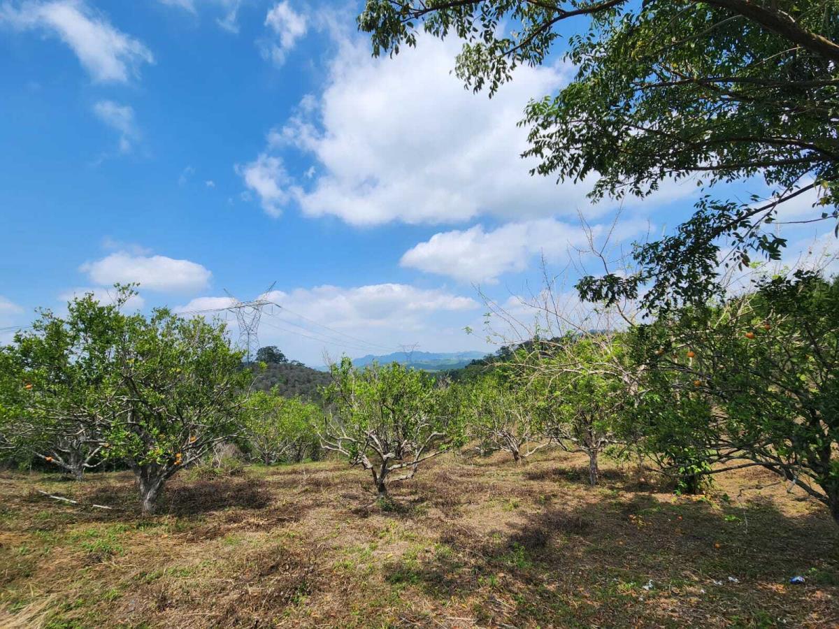 Finca-Rancho en venta en Manantial, Tihuatlán — foto 1 de 9