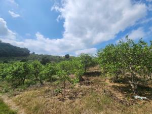 Finca-Rancho en venta en Manantial, Tihuatlán — foto 3 de 9