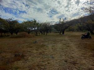 Terreno en venta en Tepetlixpita, Totolapan — foto 2 de 6
