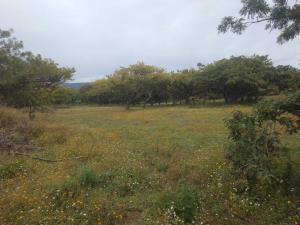 Terreno en venta en Tepetlixpita, Totolapan — foto 3 de 6