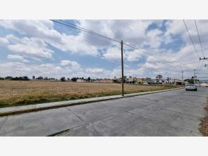Terreno en venta en Villa Cuauhtemoc, Otzolotepec — foto 3 de 11