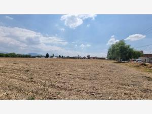 Terreno en venta en Villa Cuauhtemoc, Otzolotepec, México