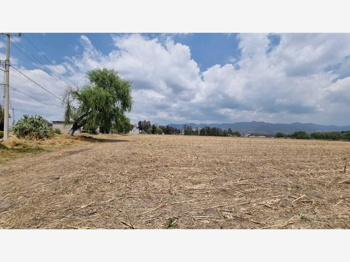 Terreno en venta en Villa Cuauhtemoc, Otzolotepec — foto 1 de 10