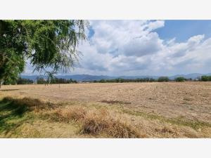 Terreno en venta en Villa Cuauhtemoc, Otzolotepec — foto 3 de 10