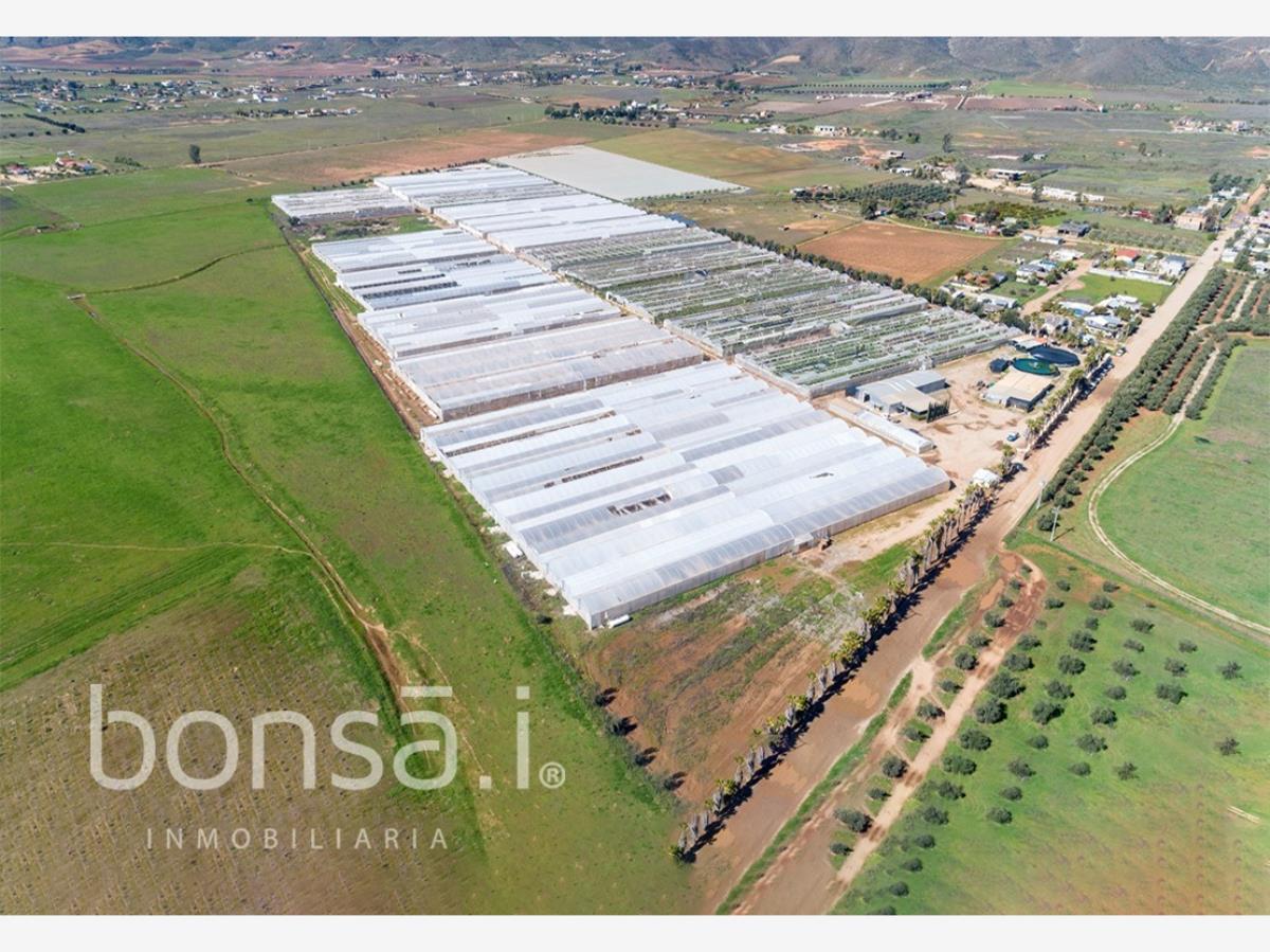 Terreno en venta en El Porvenir (Guadalupe), Ensenada — foto 1 de 21