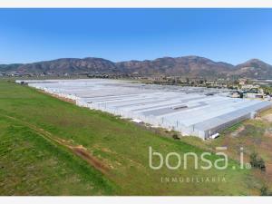 Terreno en venta en El Porvenir (Guadalupe), Ensenada — foto 3 de 21