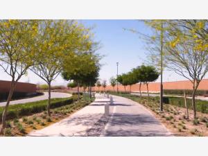 Terreno en venta en Las Villas, Torreón — foto 3 de 8