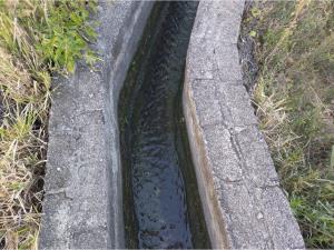 Terreno en venta en Chiconcuac, Xochitepec — foto 2 de 9