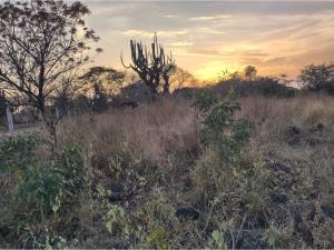 Terreno en venta en Chiconcuac, Xochitepec — foto 3 de 9