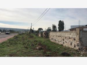 Terreno en venta en Tequisquiapan Centro, Tequisquiapan — foto 3 de 4