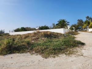 Terreno en venta en Fundadores, Ciudad Madero — foto 2 de 3