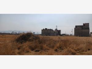 Terreno en venta en San Gregorio Cuautzingo, Chalco — foto 2 de 4