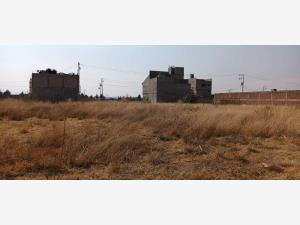 Terreno en venta en San Gregorio Cuautzingo, Chalco — foto 3 de 4