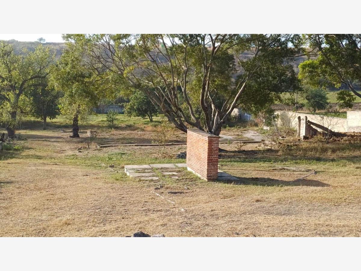 Terreno en venta en Jojutla Centro, Jojutla — foto 1 de 8