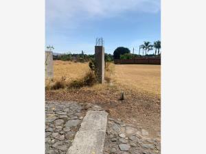 Terreno en venta en La Moraleda, Atlixco — foto 3 de 4