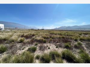 Terreno en venta en San Antonio de las Alazanas, Arteaga, Coahuila de Zaragoza Terreno en venta en San Antonio de las Alazanas, Arteaga, Coahuila de Zaragoza