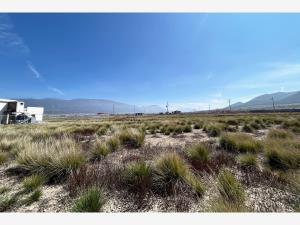 Terreno en venta en San Antonio de las Alazanas, Arteaga — foto 2 de 5