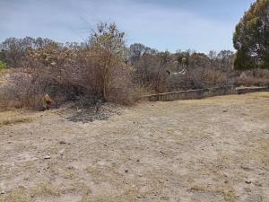 Terreno en venta en Campestre Haras, Amozoc — foto 2 de 7