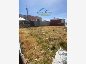 Terreno en renta en La Joya, Zinacantepec — foto 2 de 6