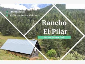 Finca-Rancho en venta en Sierra Hermosa, Arteaga, Coahuila de Zaragoza