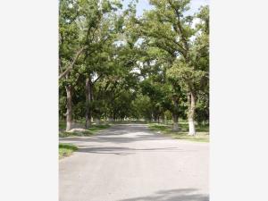 Terreno en venta en Parras, Parras — foto 2 de 4