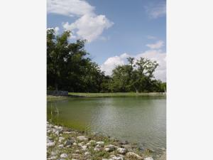 Terreno en venta en Parras, Parras — foto 3 de 4