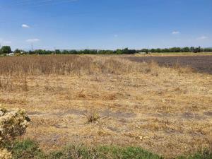 Terreno en venta en Santa María Nativitas, Colón — foto 3 de 15