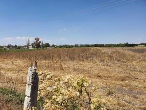 Terreno en venta en Santa María Nativitas, Colón — foto 2 de 15