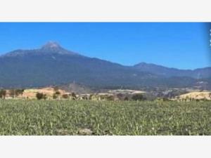 Terreno en venta en Tonila Centro, Tonila, Jalisco