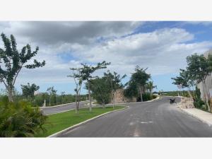 Terreno en venta en Motul de Carrillo Puerto Centro, Motul — foto 3 de 20