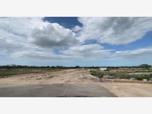 Terreno en venta en Motul de Carrillo Puerto Centro, Motul — foto 2 de 20