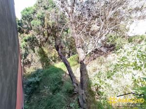 Terreno en venta en Rancho Tetela, Cuernavaca — foto 3 de 6