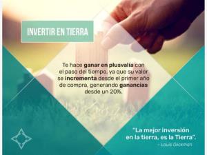 Terreno en venta en Kinchil, Kinchil — foto 3 de 10