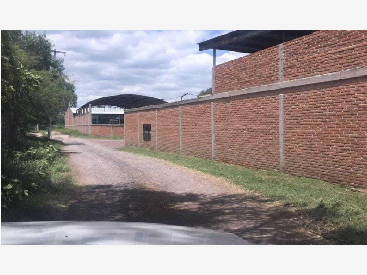 Terreno en venta en Obrajuelo, Apaseo El Grande — foto 1 de 6