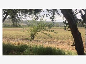 Terreno en venta en Obrajuelo, Apaseo El Grande — foto 2 de 6