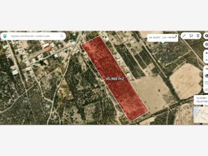 Terreno en venta en Palma de la Cruz, Soledad de Graciano Sánchez — foto 2 de 8
