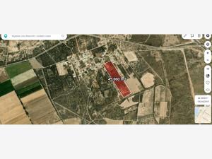 Terreno en venta en Palma de la Cruz, Soledad de Graciano Sánchez — foto 3 de 8