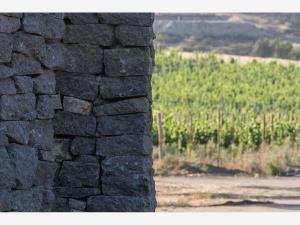 Terreno en venta en Francisco Zarco (Valle de Guadalupe), Ensenada — foto 3 de 7