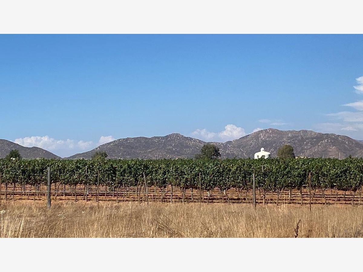 Terreno en venta en Francisco Zarco (Valle de Guadalupe), Ensenada — foto 1 de 8