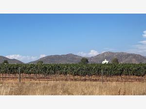 Terreno en venta en Francisco Zarco (Valle de Guadalupe), Ensenada, Baja California