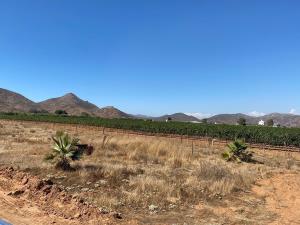 Terreno en venta en Francisco Zarco (Valle de Guadalupe), Ensenada — foto 2 de 8