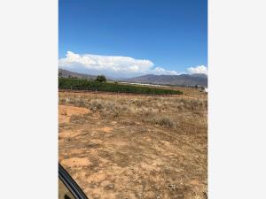 Terreno en venta en Francisco Zarco (Valle de Guadalupe), Ensenada — foto 3 de 8