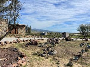 Casa en venta en Francisco Zarco (Valle de Guadalupe), Ensenada — foto 2 de 33