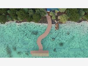 Terreno en venta en El Naranjal, Bacalar — foto 2 de 20