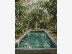 Terreno en venta en Bahías de Punta Solimán, Tulum — foto 2 de 7